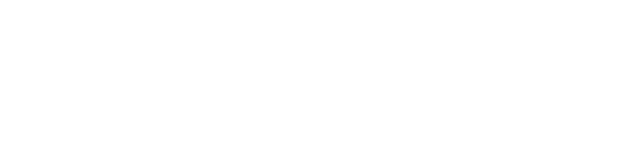 Randiņu Aģentūra