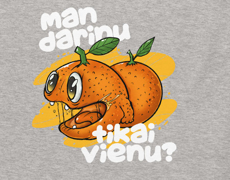 ROIS grafiskā dizaina darbs 2